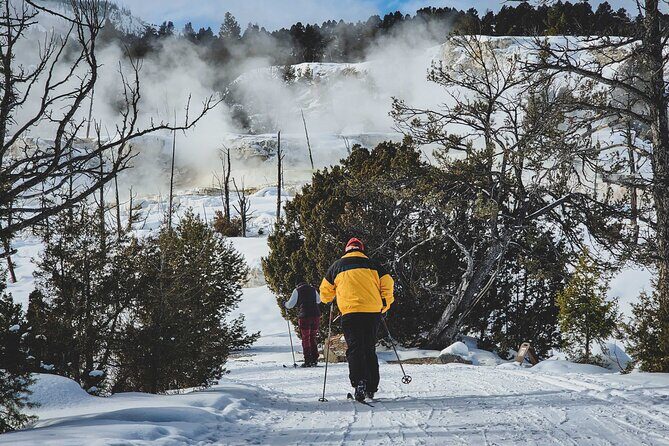 6 Day Winter Wonderland Tour in Yellowstone National Park - A Deep Dive Into the Yellowstone Winter Experience