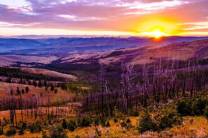 6-Day Yellowstone and Mount Rushmore Tour from Salt Lake City - The Overall Experience: What Makes It Stand Out?