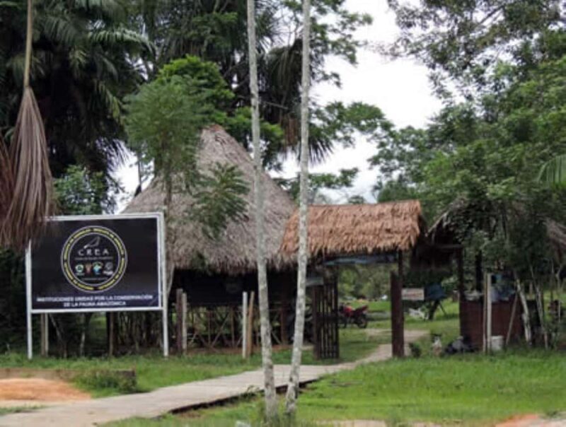 6 Days Amazon Adventure from Iquitos - An In-Depth Look at the 6-Day Amazon Adventure