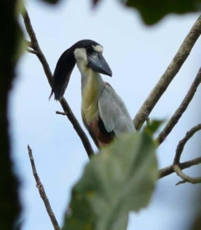 6 Days Amazon Adventure from Iquitos - Final Thoughts