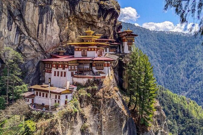 6 Days Bhutan Private Tour to Gangtey - Who Should Take This Tour?