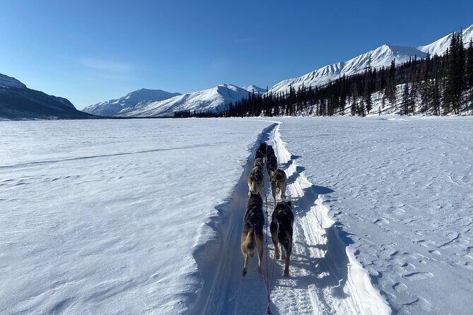 6 Days Brooks Range Expedition Private Tour - The Authentic Alaska Wilderness Experience in Depth