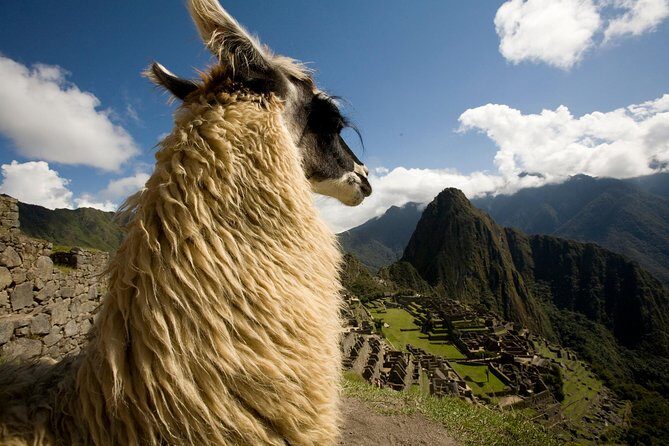 6 Days Exploring Cusco, Sacred Valley & Machu Picchu - Who Is This Tour Best For?