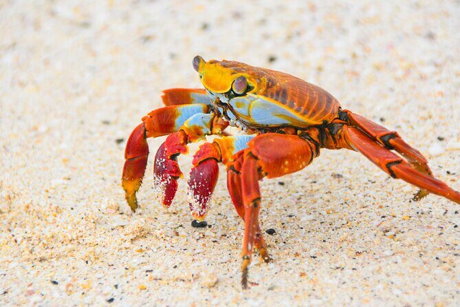 6 Days Galapagos Island Hopping - Final Thoughts