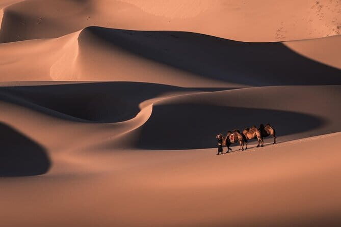 6 Days Gobi Desert Tour with complimentary airport pickup - A Close-Up of Mongolia’s Gobi Desert in 6 Days