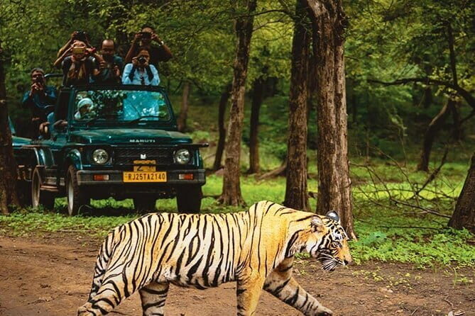 6 Days Golden Triangle with Ranthambore & Varanasi Tour - Transportation and Comfort