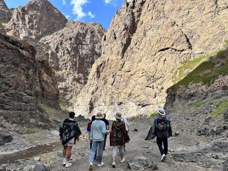 6 Days Great Gobi tour-Amazing memory - Key Points