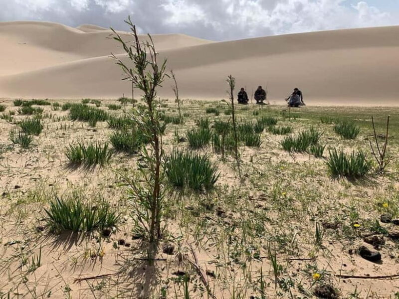 6 Days Great Gobi tour-Amazing memory - Who Should Consider This Tour?