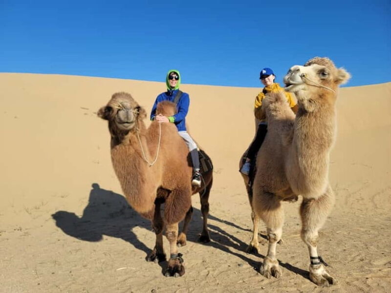 6 Days Great Gobi tour-Amazing memory - The Sum Up