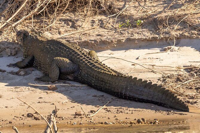 6 Days Manu Jungle Adventure - Key Points