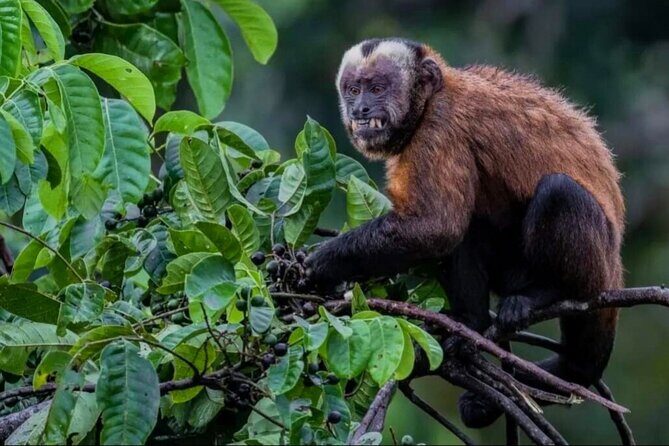 6 Days Manu Jungle Adventure - Who Will Love This Tour?