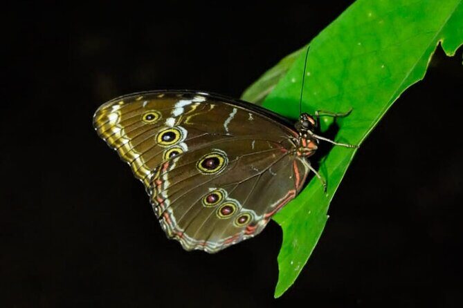 6 Days Manu Jungle Adventure - Frequently Asked Questions (FAQs)