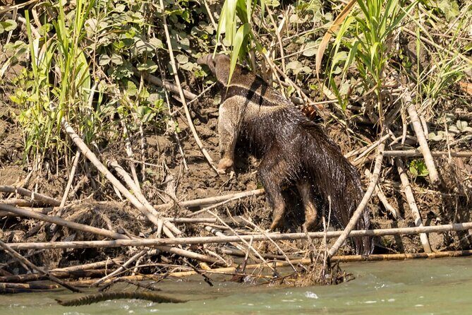 6 Days Manu Jungle Adventure - Final Thoughts