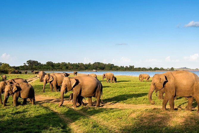 6 Days Nature And Culture Tour - Authentic Experiences and Practical Considerations