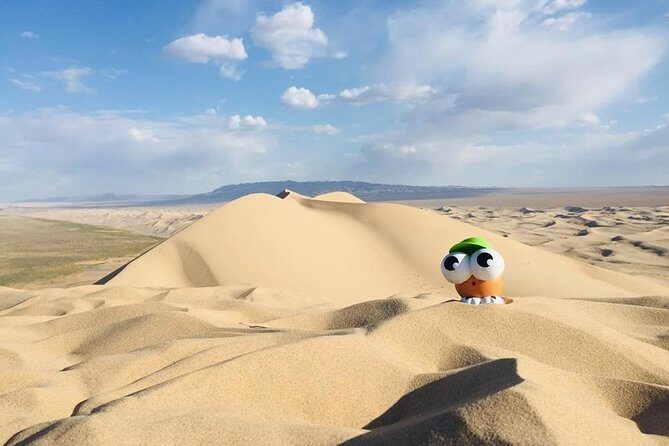 6 Days Private Tour in Gobi Desert - Key Points