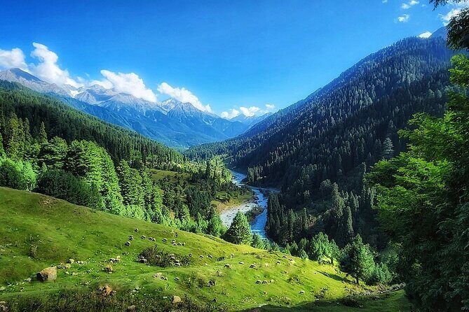 6 Days Private Tour in Kashmir - Final thoughts