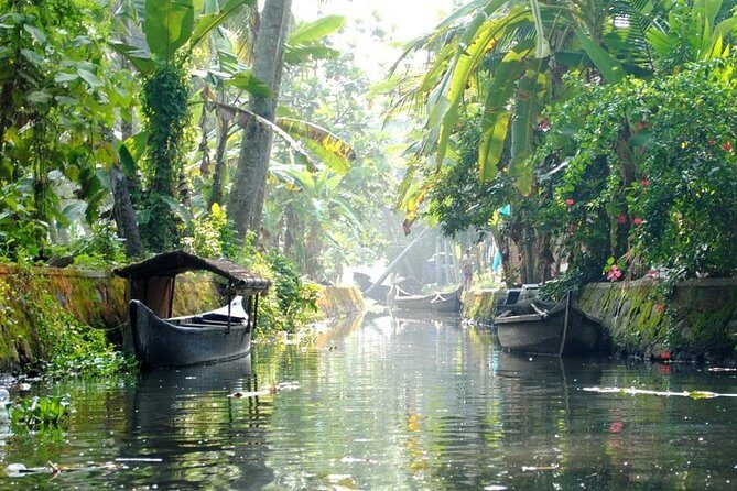 6 Days Private Tour Kerala Natural Retreat - Exploring the Itinerary in Detail