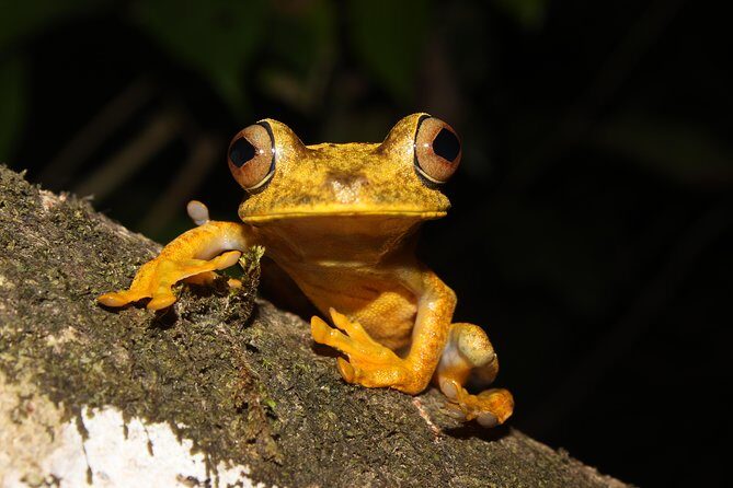 6 Days: Quito, Otavalo, Amazon, Tungurahua, Quilotoa, Cotopaxi... - Who Will Enjoy This Tour?