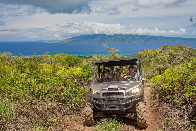 6 Dual-Zipline Mountain Adventure in Maui - Key Points