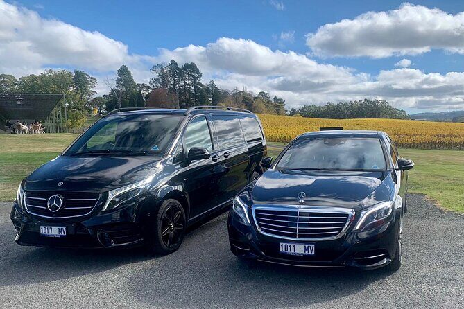 6 Hour Adelaide Hills Winery Tour - A Deep Dive into the 6-Hour Adelaide Hills Winery Tour