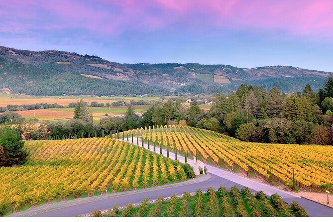 6 Hour Custom Napa or Sonoma Private Wine Tour - A Personalized Journey Through Napa and Sonoma’s Finest