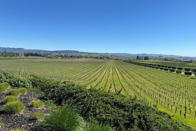 6 Hour Custom Napa or Sonoma Private Wine Tour - Exploring Napa and Sonoma with a Customized Touch