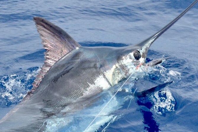 6 Hour Fishing Charter - Key Points