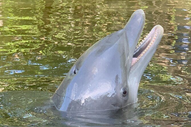 6 Hour Florida Keys Fishing Charter - Who This Tour Is Perfect For