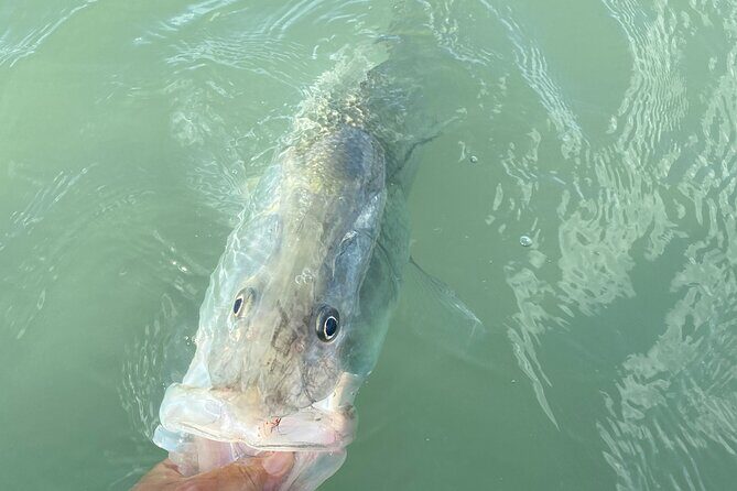 6 Hour Florida Keys Fishing Charter - Final Thoughts