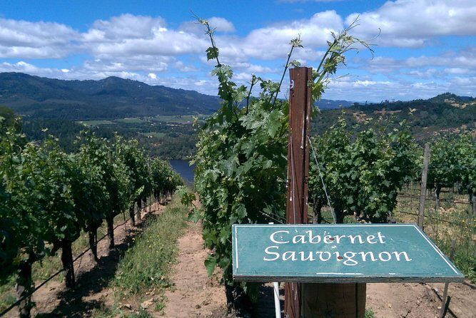 6 Hour Napa or Sonoma Wine Tour in Private Limousine - Final Thoughts