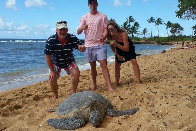 6-Hour Private Customized Luxury Convertible Tour of Oahu's North Shore - An In-Depth Look at the 6-Hour North Shore Tour