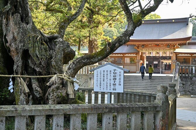 6 Hour Private E bike Tour on Omishima - The Details: What to Expect from the Tour