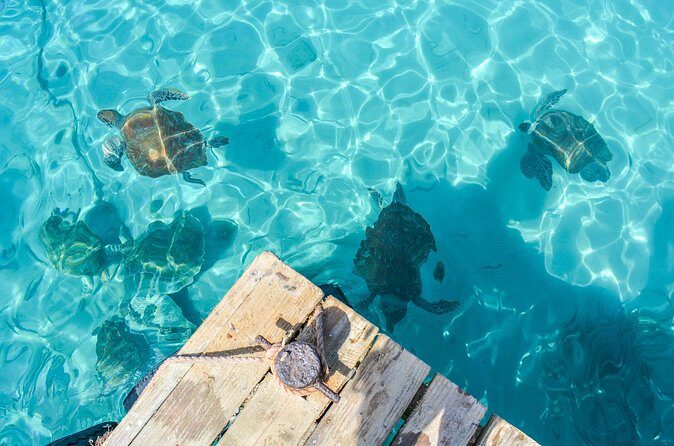 6 Hour Private Guided Tour Beyond the Beaches of Curacao - FAQ