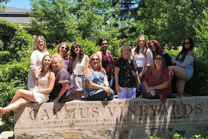 6-Hour Private Limousine Tour to Napa and Sonoma Valley Wineries - Who Should Consider This Tour?