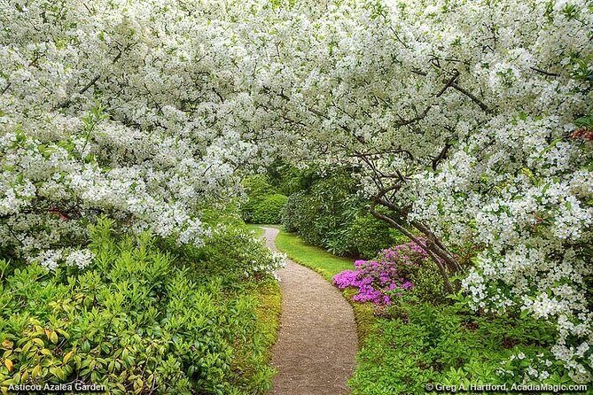 6 Hour Private Tour: Acadia National Park, Fjord & Lobster Lunch - Practical Details: What to Expect and Considerations