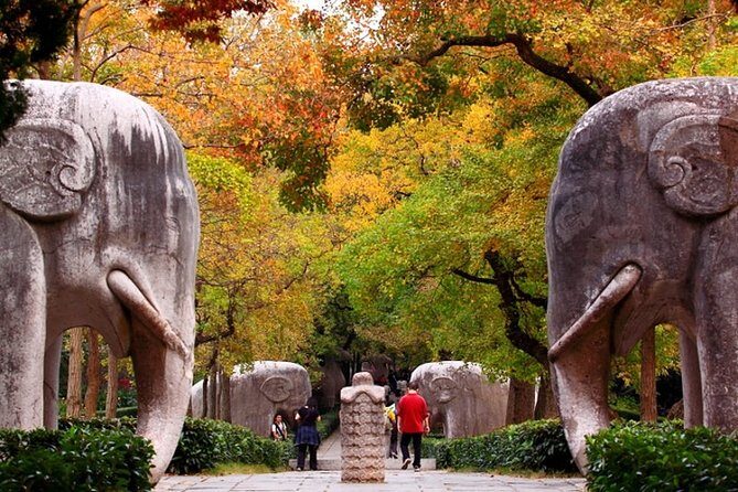 6-Hour Private Tour of Xiaoling Tomb,City Wall & Memorial Hall - Exploring Nanjing in a Half-Day Private Tour