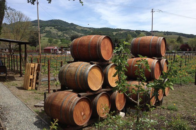 6-Hour Private Wine Country Tour of Napa in Crossover SUV (up to 6 people) - A Closer Look at the Itinerary and Stops