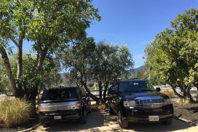 6-Hour Private Wine Country Tour of Napa Valley (up to 6 people) in Large SUV - Who Will Benefit Most?