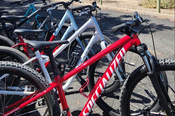 6-Hour Regular Bike Rental From Tucson - A Closer Look at the Bike Rental Experience in Tucson