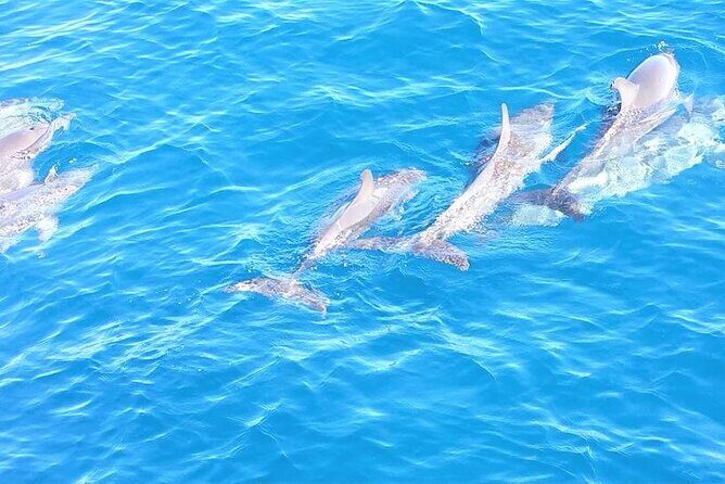 6-Hour Sailing Charter from Fort Lauderdale - The Sum Up: Who Should Book This Experience?