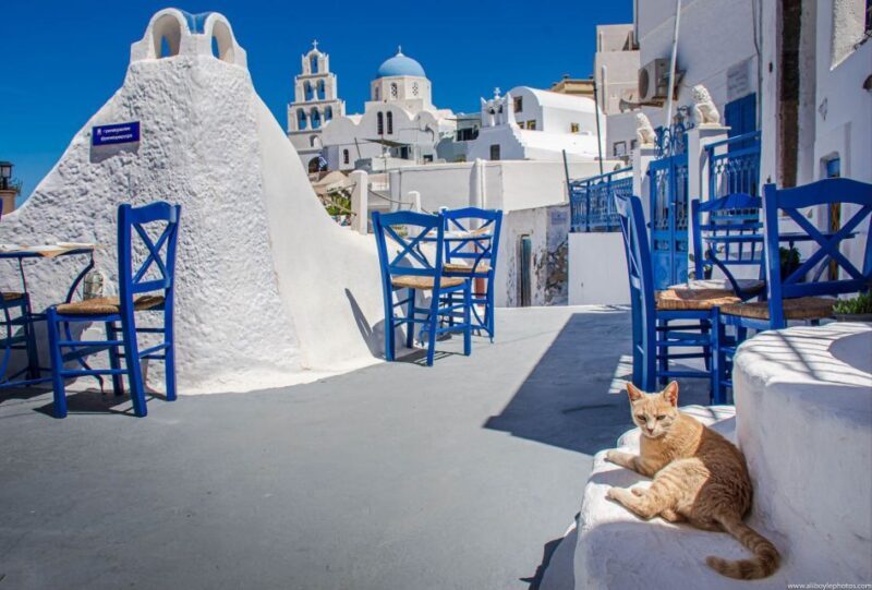 6-Hour Sightseeing Private Guided Tour by Van - What’s Included and What’s Not