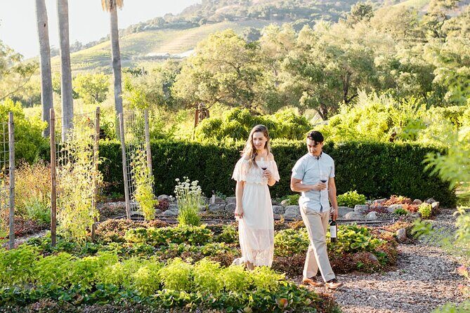 6 Hour Sonoma Boutique Wine Tour-Private Black Car,up to 6 Guests - An In-Depth Look at the 6 Hour Sonoma Boutique Wine Tour