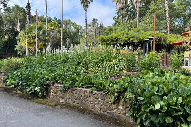 6 Hour Sonoma Boutique Wine Tour-Private Black Car,up to 6 Guests - Who Is This Tour Best Suited For?