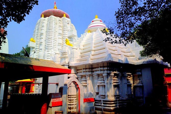 6-hour Temples tour of Bhubaneswar including hotel pick-up & drop-off - A Closer Look: The 6-Hour Temples Tour of Bhubaneswar