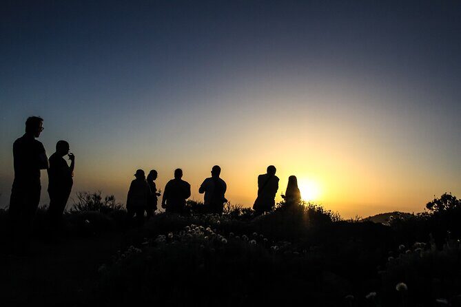 6-Hour Tour with Observation of the Stars 1242 with Lunch - Who Would Love This Tour?