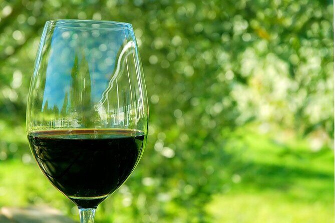 6 Hour Variety Wine Vineyard Tour in Napa Valley - Exploring the Napa Valley Private Dessert Wine Tour