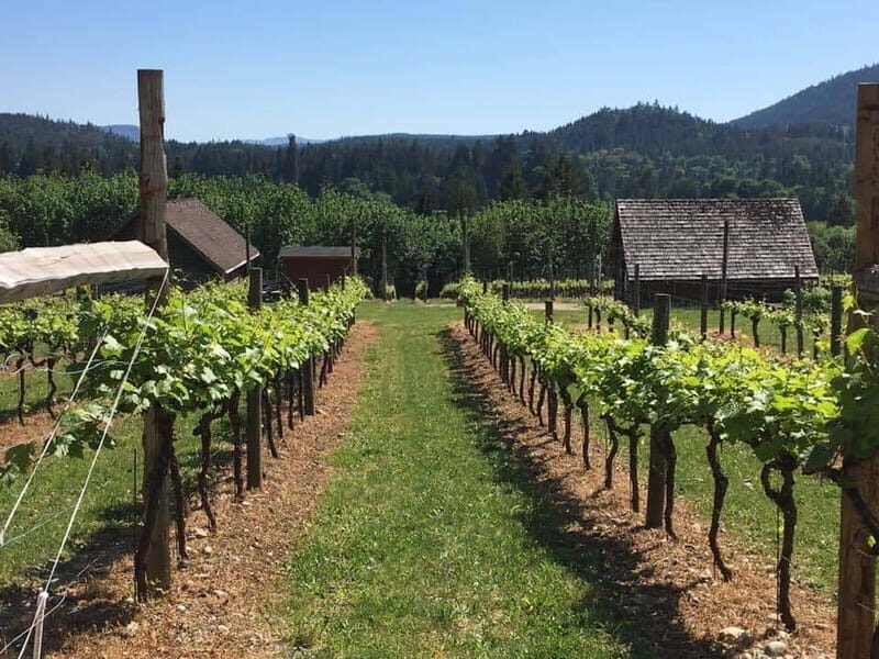 6-Hour Victoria to Cowichan Wine Tour - The Sum Up