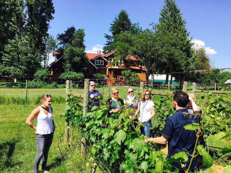 6-Hour Victoria to Cowichan Wine Tour - FAQ