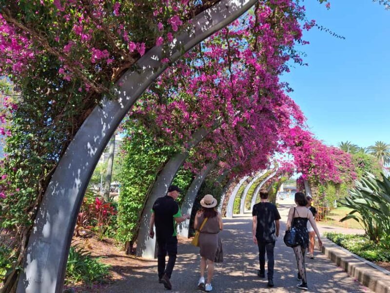 6 Hour Welcome to Brisbane Private Sightseeing Private Tour - Real Traveler Insights and Value