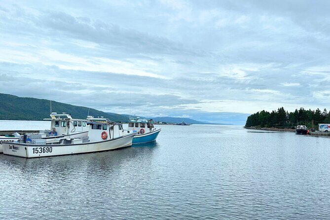 6 Hours Cabot Trail, Keltic Lodge and Ingonish Sights Tour - In-Depth Review: Why This Tour Works and Where It Could Improve